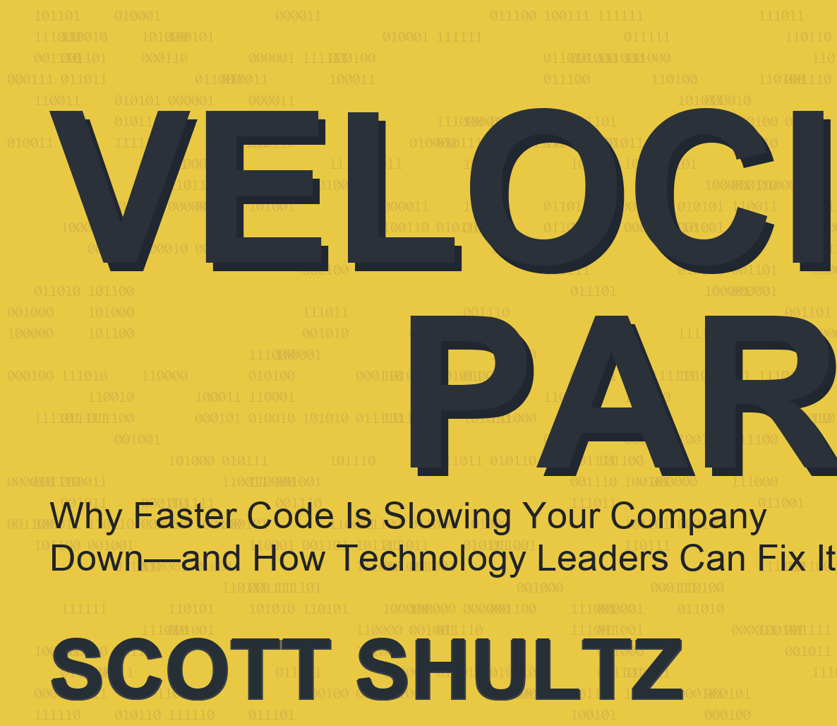 The Velocity Paradox by Scott Shultz
